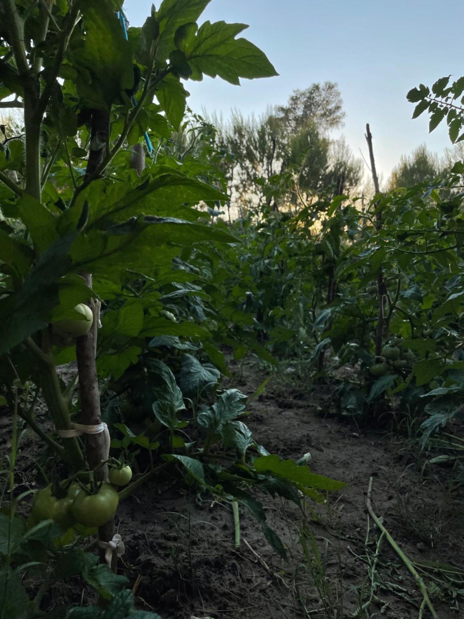 ホテル Agroturizem Eldi フィエル エクステリア 写真
